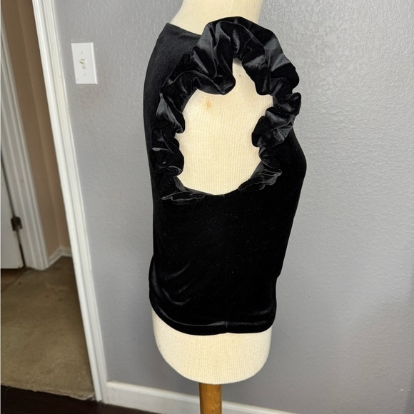 Elegant Black Velvet Ruffle Sleeve Top - Picture 5 of 5